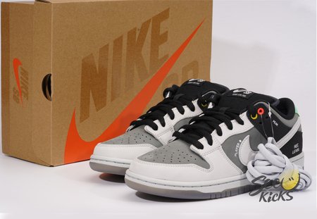 NK SB Dunk Low "VX1000 Camcorder" SP36-47.5
