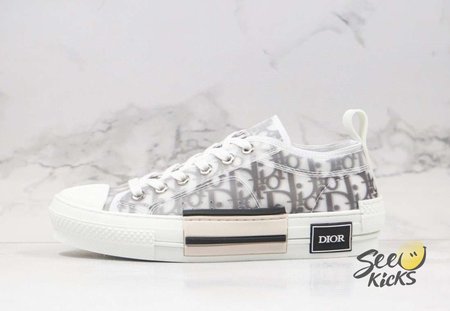 Dior B23 OBLIQUE White & Black