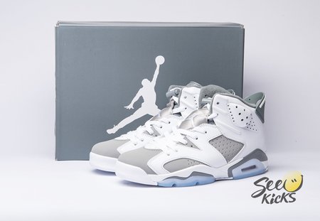 Air Jordan 6 Cool Grey CT8529-100 Size 40-47.5